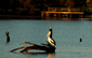 Locph_601320391_locid108781