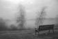 Locph_614302459_locid4967