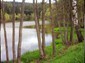Locph_627622874_locid108229