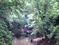 Locph_643101755_locid5074