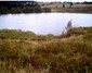 Locph_677558826_locid108233