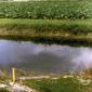 Locph_720123724_locid107336
