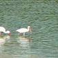 Locph_751134290_locid102975