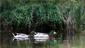 Locph_938499747_locid7947