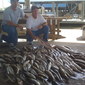 TradeWinds - Louisiana Marina and Lodge