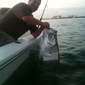 Photo-777936