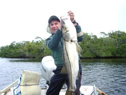 20lbn