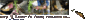 Forum_neflyfishing