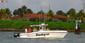 Bouncer's Dusky 33 