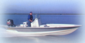 fishing-guy.com