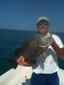 Tripletail