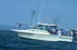 Trophyhunterboatpic0173