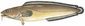 Cusk-240-sw