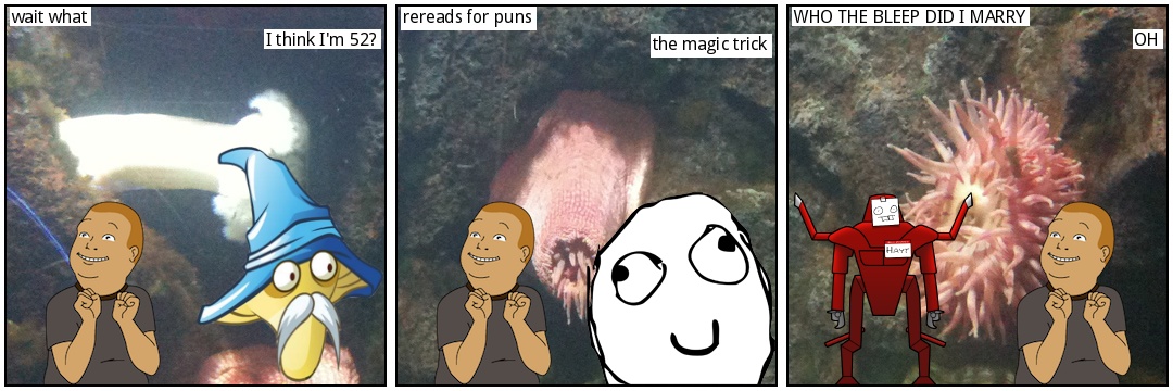 1777595836498