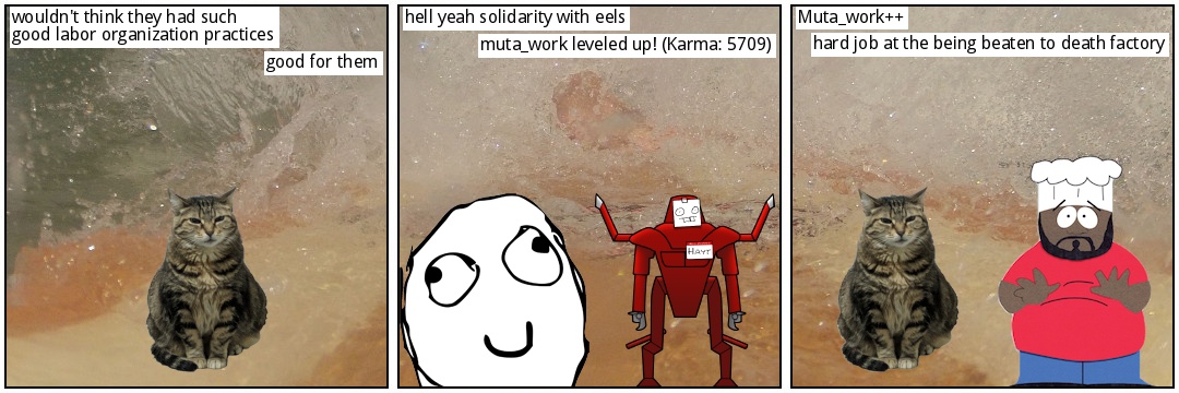 1785507673974