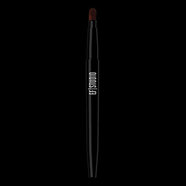 Lip Brush (Retractable)