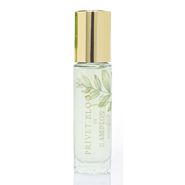 Privet Bloom Roll-On Perfume