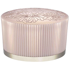 Face Powder N