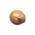 Color: Bronzed