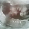 Photo1139_thumb