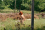2430170-1-14_tiny