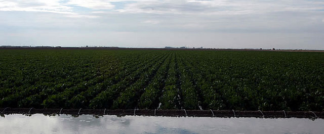 Farm_normal