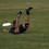 Dsc01492_square