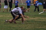Dsc01604_tiny