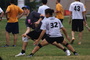 Dsc01653_tiny