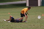 Dsc01709_tiny