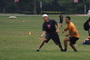 Dsc01759_tiny