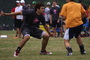 Dsc01787_tiny