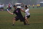 Dsc01846_tiny