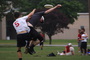 Dsc01913_tiny