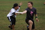 Dsc01930_tiny