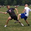 Dsc01989_square