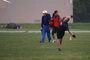 Dsc01548_tiny