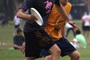Dsc01776_tiny
