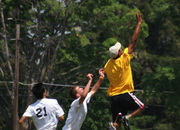 Dsc01243_small