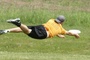 Gore_banner_tiny