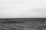 Book_cuba_22_02a_isoc-v2_300-nb_tiny