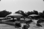 Book_cuba_16_05_isoc-v2_300-nb_tiny