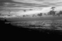 Book_cuba_17_16_isoc-v2_300-nb_tiny