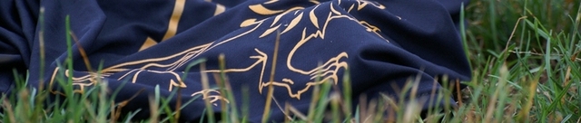 Tryout_page_banner_normal