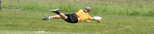 Gore_banner_large