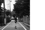 4379_14_tiny