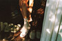 89-14_tiny