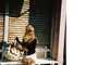 236-035-copy_tiny