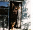 84-031-copy_tiny