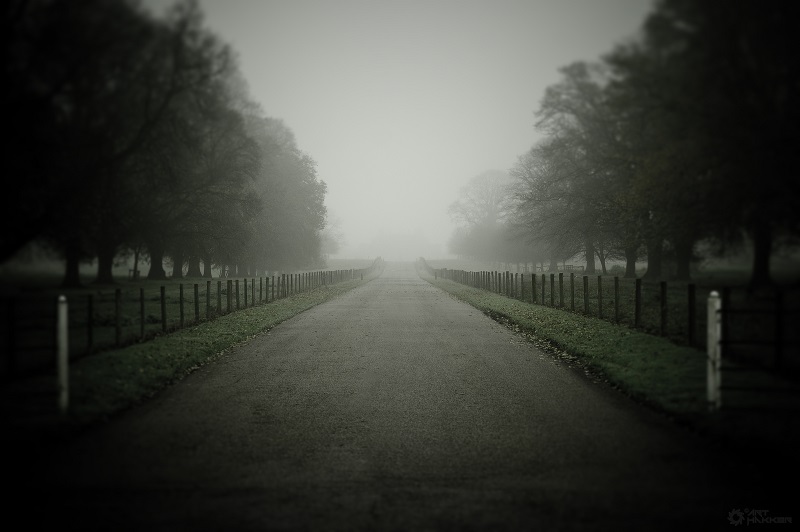 10 Most Mysterious Gravity Hills in California